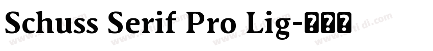 Schuss Serif Pro Lig字体转换